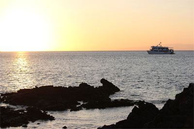 Galapagos View