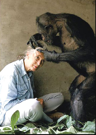 Jane Goodall