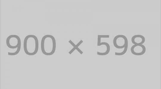 Bungalow in the Forest